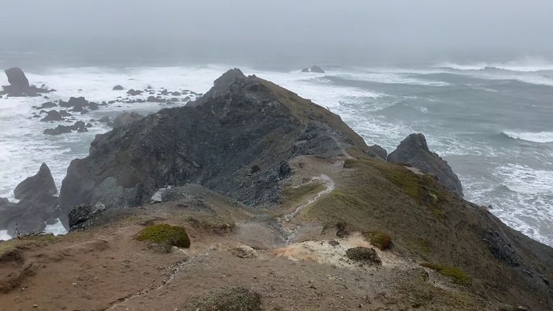 Blacklock Point - Near Floras Lake