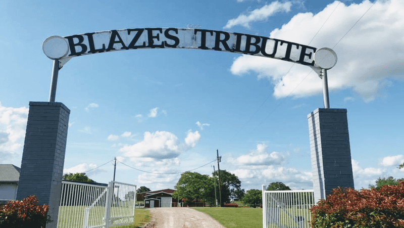 Blaze's Tribute Equine Rescue Blaze's Tribute Equine Rescue