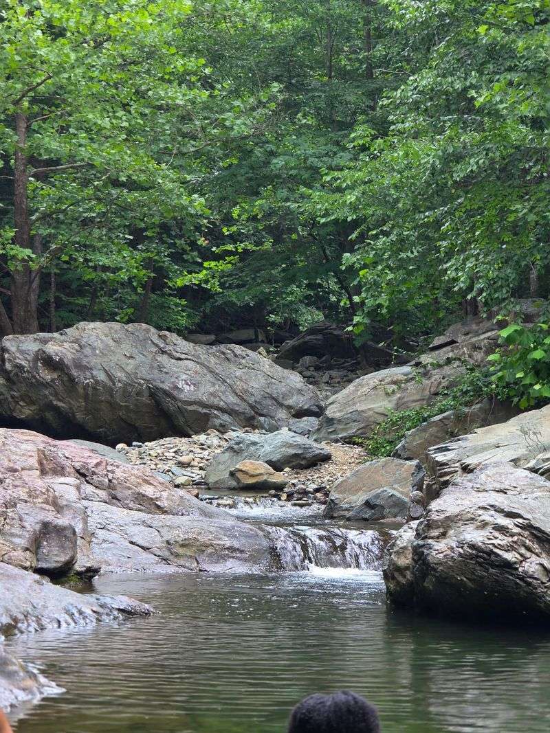 Blue Hole (Moormans River) - Crozet