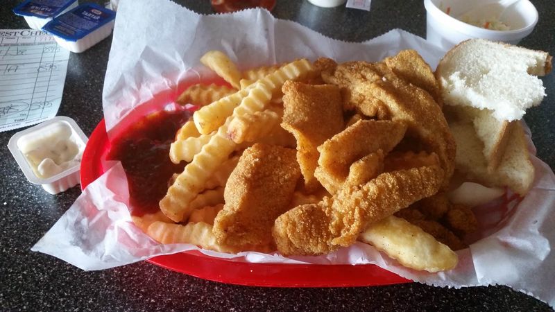 Bluegill for Freshwater Fish Fans Bluegill for Freshwater Fish Fans