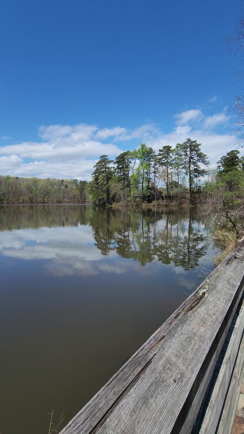Boardwalks Through the Creekside Wetlands