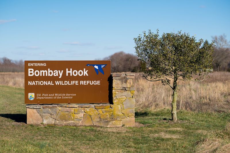 Bombay Hook National Wildlife Refuge, Smyrna, Delaware Bombay Hook National Wildlife Refuge, Smyrna, Delaware