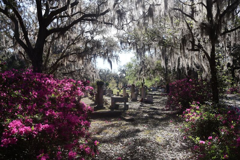 Bonaventure Cemetery, Savannah, Georgia Bonaventure Cemetery, Savannah, Georgia