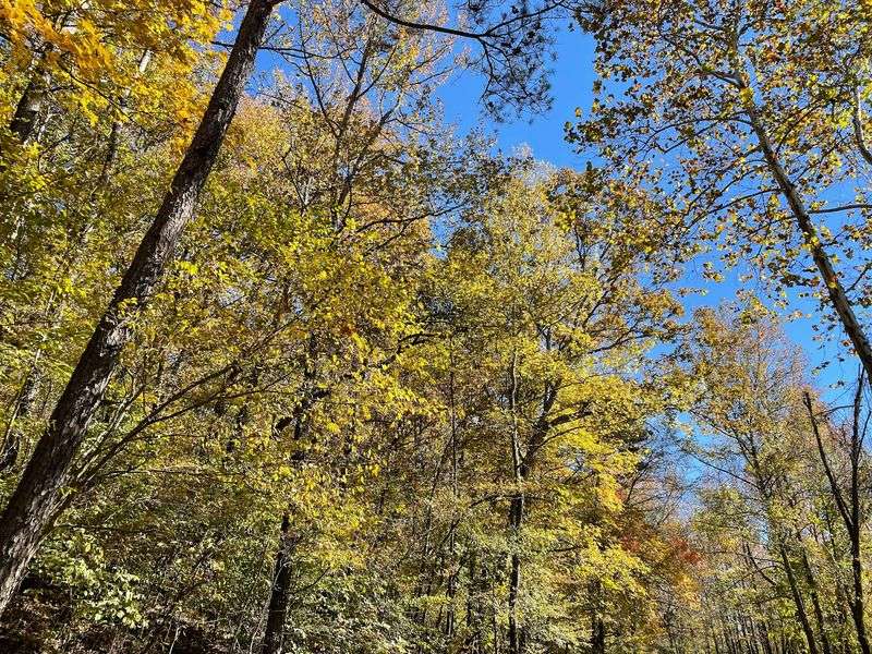Boston Mountains Scenic Loop, Alma to Fayetteville, Arkansas Boston Mountains Scenic Loop, Alma to Fayetteville, Arkansas