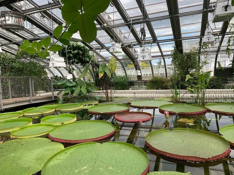 Botanischer Garten Berlin, Berlin, Germany Botanischer Garten Berlin, Berlin, Germany