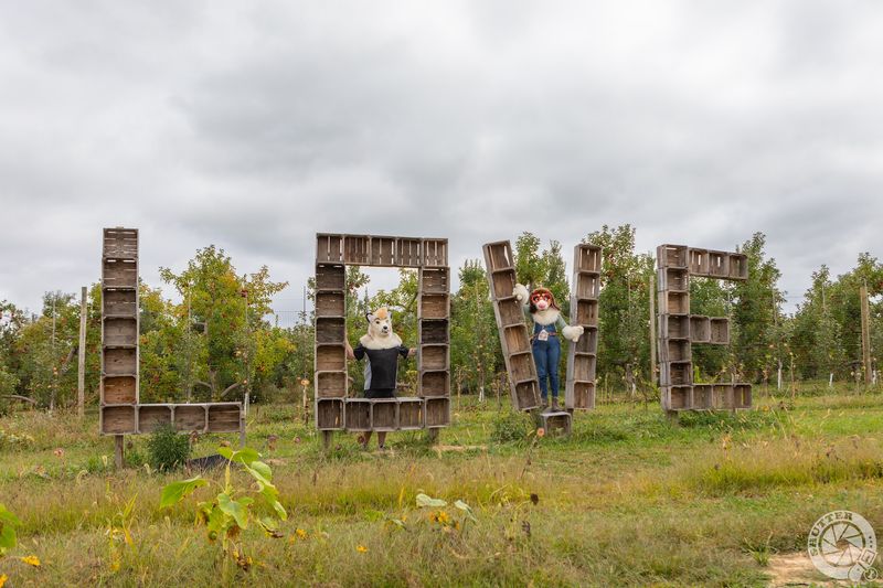 Branstool Orchards - Utica