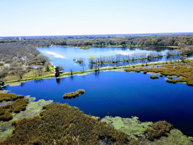 Brazos Bend State Park, Needville, Texas Brazos Bend State Park, Needville, Texas