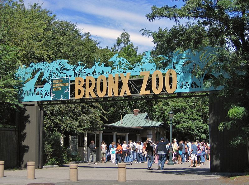 Bronx Zoo, Bronx, New York Bronx Zoo, Bronx, New York