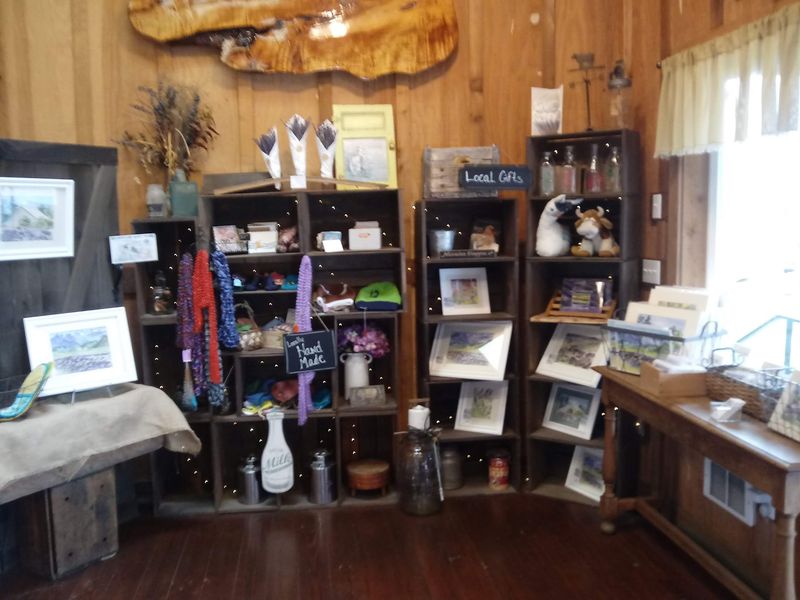 Browsing the Farm Store Shelves