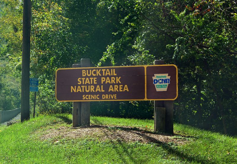 Bucktail State Park Natural Area, Emporium, Pennsylvania