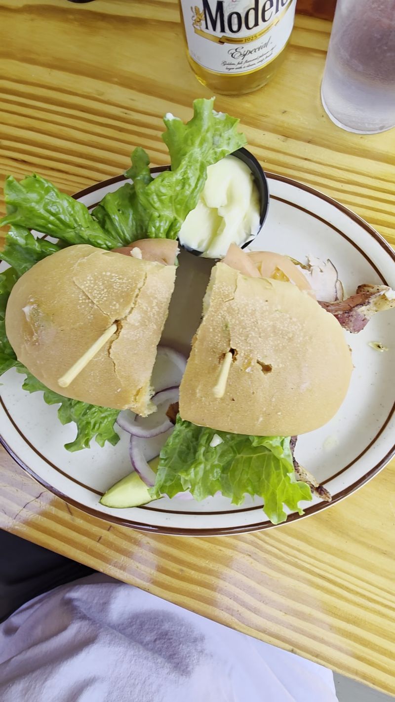 Burgers, Sandwiches, and Homestyle Plates Burgers, Sandwiches, and Homestyle Plates