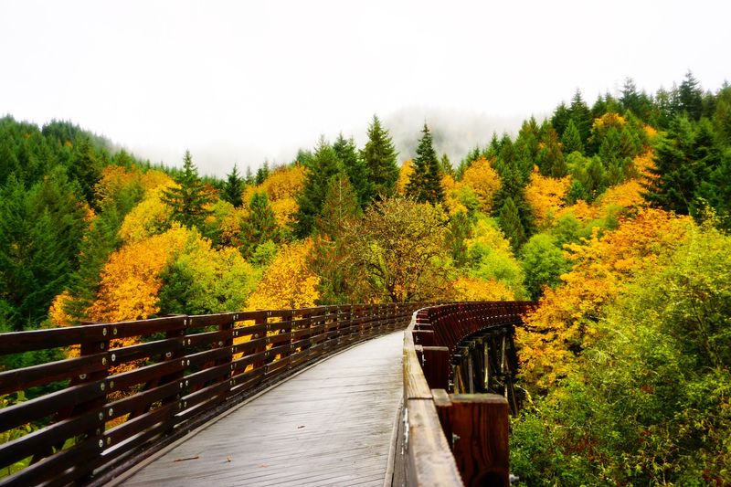 Buxton Trestle: The Trail's Most Dramatic Crossing Buxton Trestle: The Trail's Most Dramatic Crossing