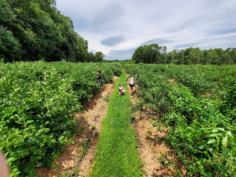 C.N. Smith Farm, East Bridgewater C.N. Smith Farm, East Bridgewater