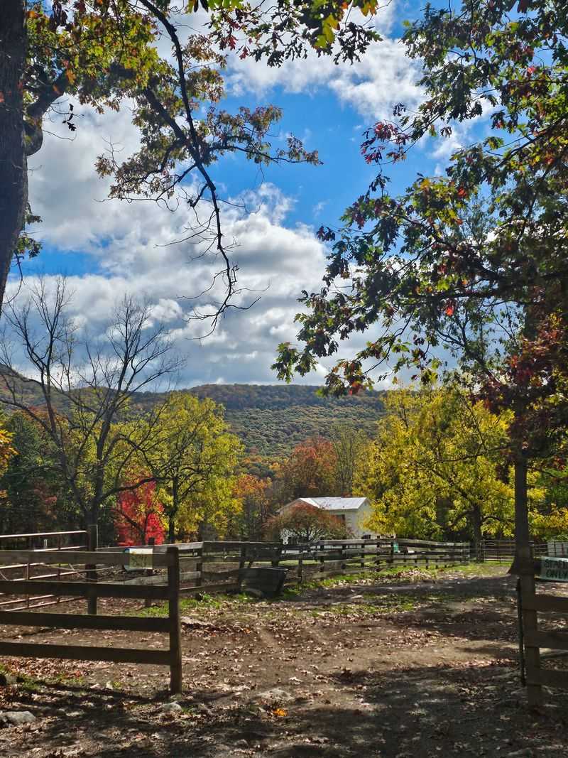 Cabins That Balance Comfort and Rustic Character Cabins That Balance Comfort and Rustic Character