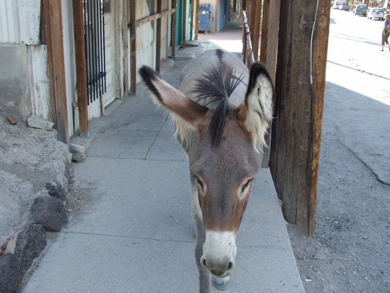 Calico Ghost Town, California Calico Ghost Town, California