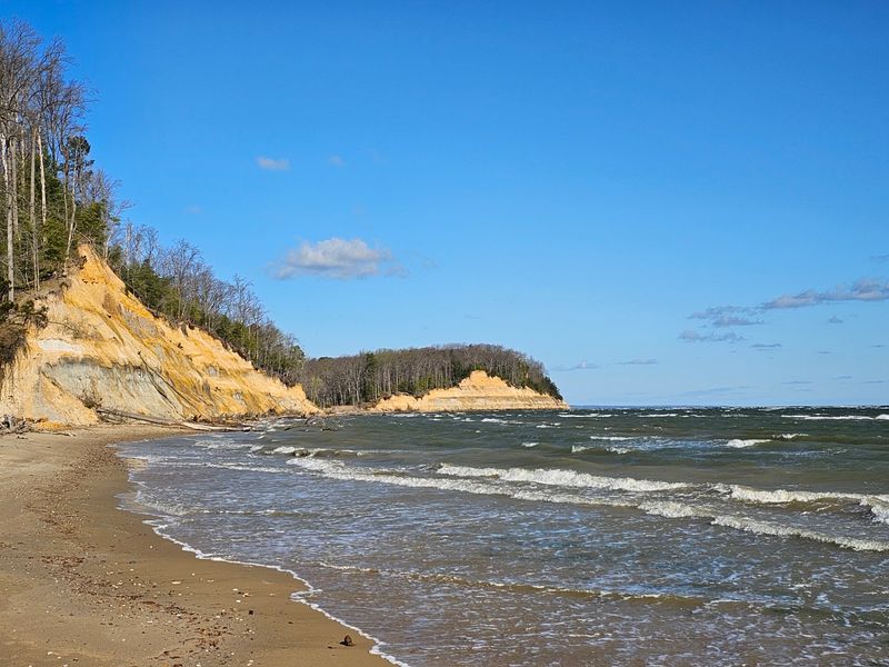 Calvert Cliffs State Park, Lusby, Maryland Calvert Cliffs State Park, Lusby, Maryland