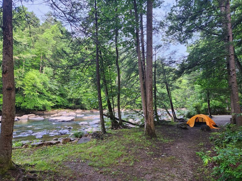 Camping Along the River: Sixty-Seven Sites and Counting Camping Along the River: Sixty-Seven Sites and Counting