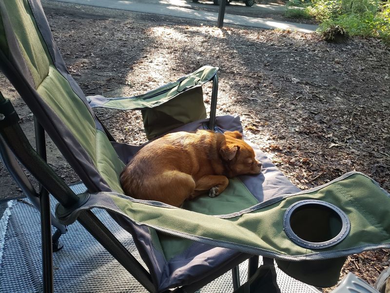 Camping Here Feels Like the Real Thing