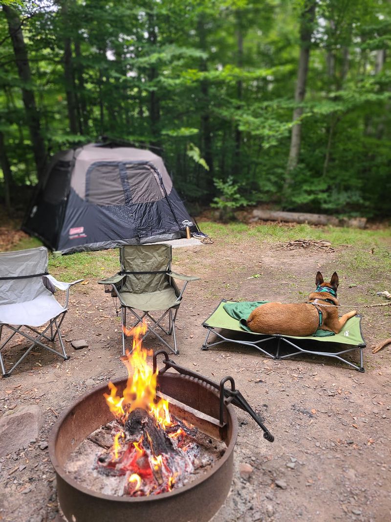 Camping Here Feels Like the Real Thing Camping Here Feels Like the Real Thing