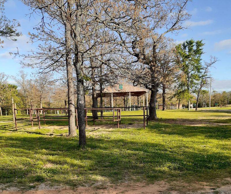 Camping Options From Primitive Sites to Equestrian Setups Camping Options From Primitive Sites to Equestrian Setups