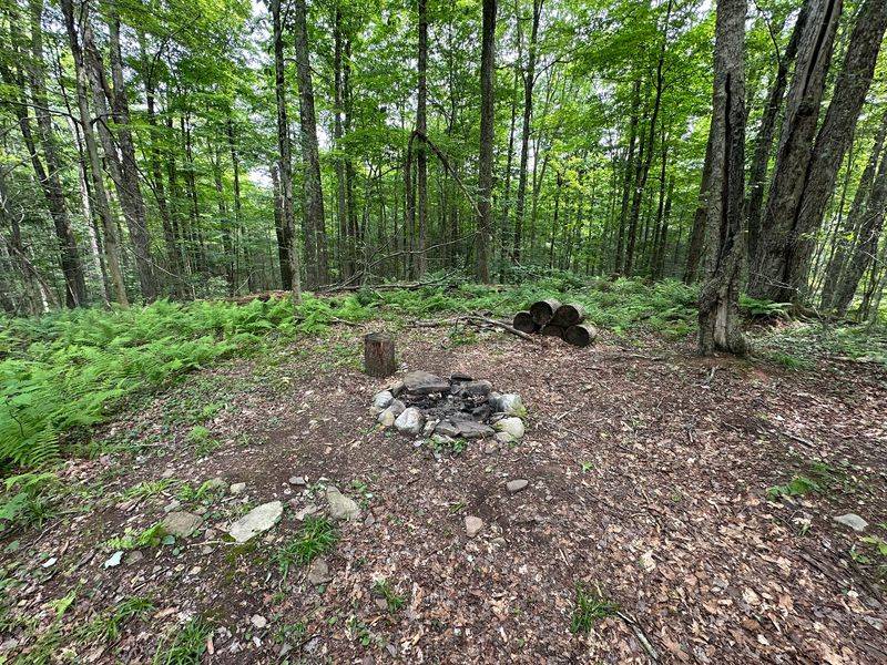 Camping Options From Primitive to Peaceful Camping Options From Primitive to Peaceful