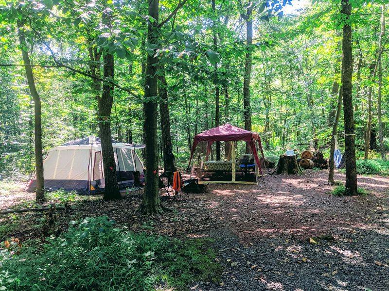 Camping Options That Range From Rustic to Surprisingly Glamorous Camping Options That Range From Rustic to Surprisingly Glamorous