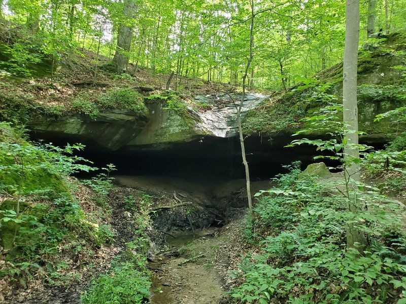 Camping Options for Those Who Want to Go Rustic