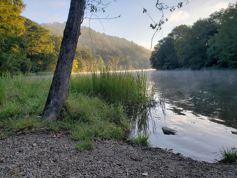 Camping Options for Those Who Want to Sleep Under the Stars