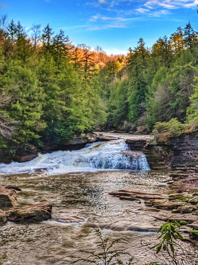 Camping, Pavilions, and Picture-Perfect Events