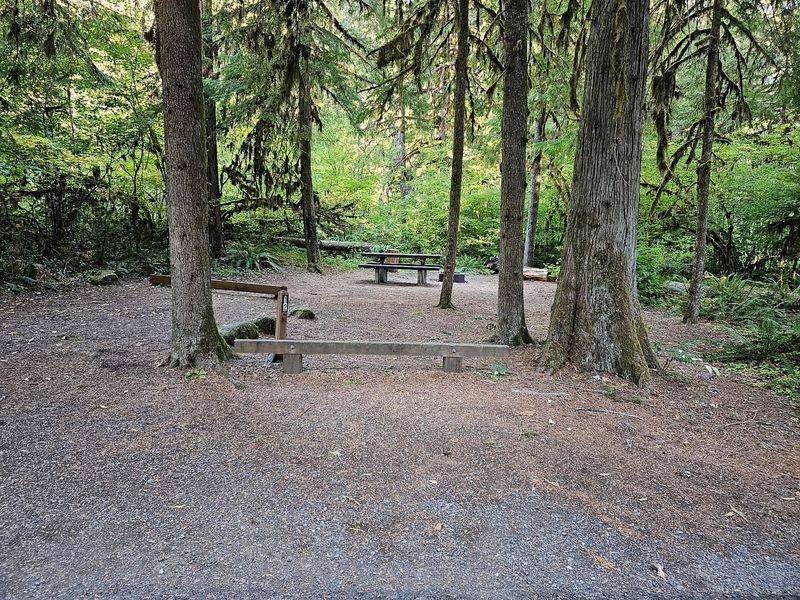 Camping Right Next to the Sound of the Creek Camping Right Next to the Sound of the Creek