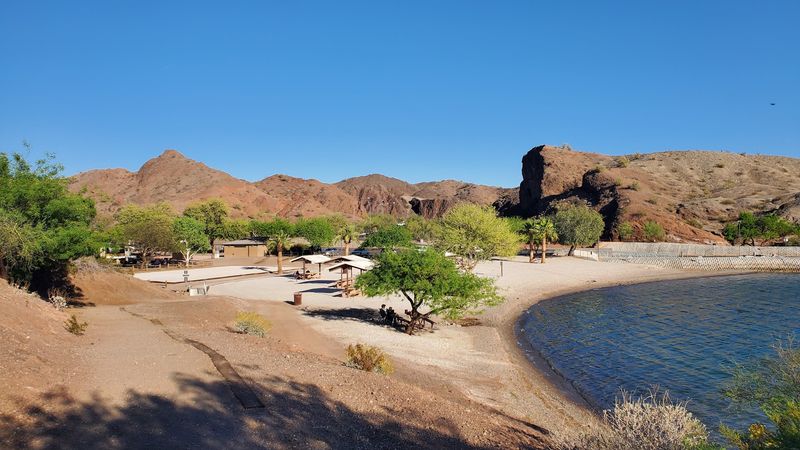 Camping Under Mature Shade Trees