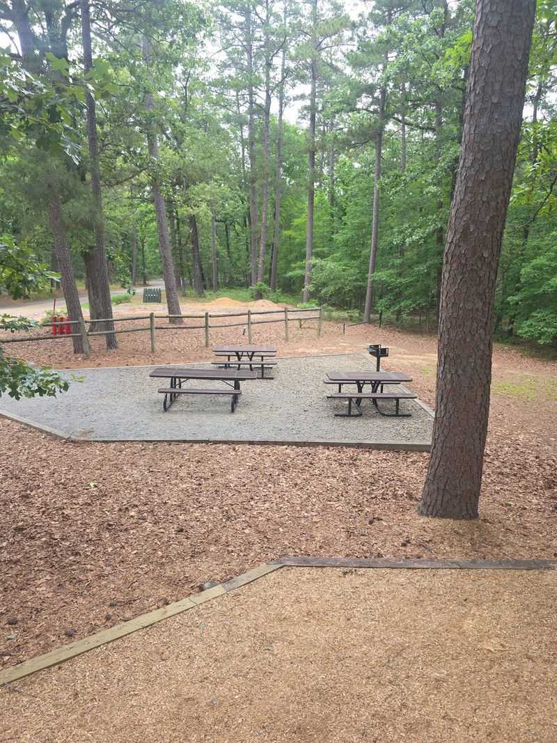 Camping Under the Pines for Those Who Want to Linger