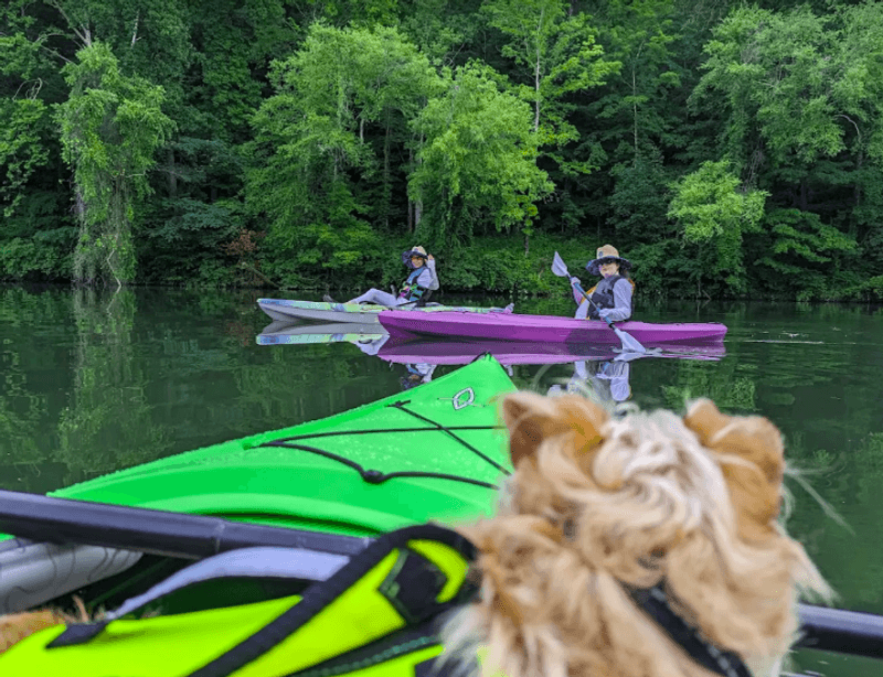 Canoe and Kayak Rentals Right on the Water Canoe and Kayak Rentals Right on the Water
