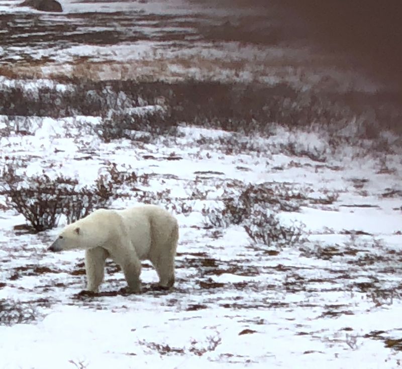 Cape Churchill, Manitoba