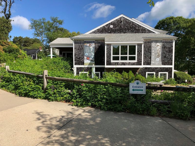 Cape Cod Museum of Natural History, Brewster Cape Cod Museum of Natural History, Brewster