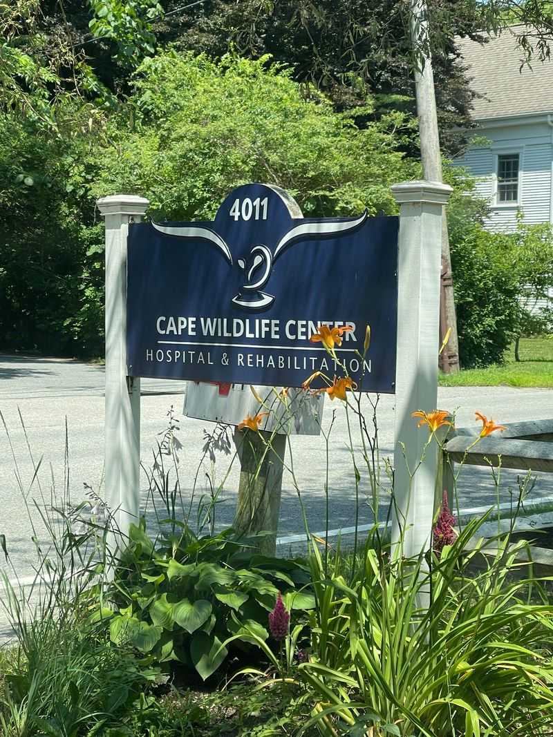 Cape Wildlife Center, Barnstable