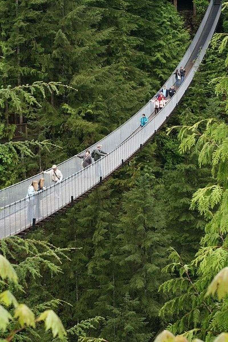 Capilano Suspension Bridge - Vancouver, Canada Capilano Suspension Bridge - Vancouver, Canada