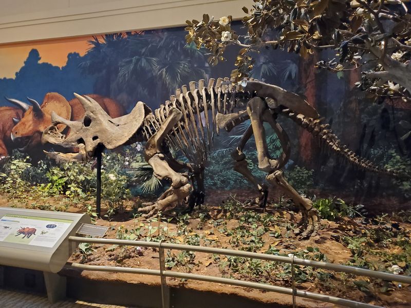 Carnegie Museum of Natural History, Pittsburgh, Pennsylvania Carnegie Museum of Natural History, Pittsburgh, Pennsylvania