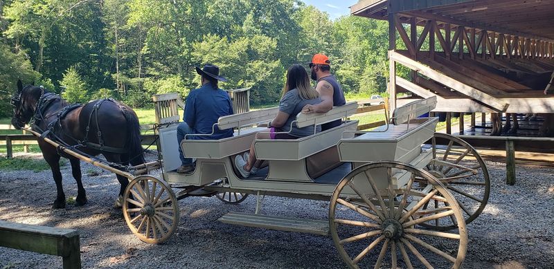 Carriage Rides for the Whole Crew Carriage Rides for the Whole Crew