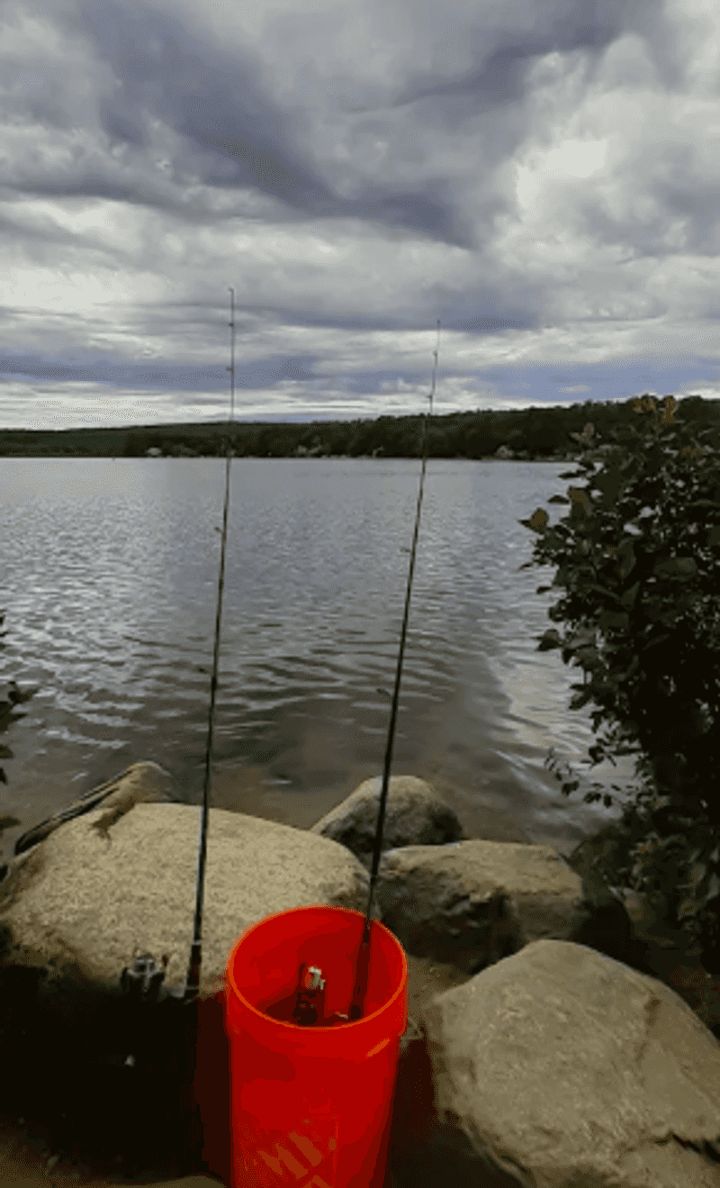 Casting a Line and Watching for Trout