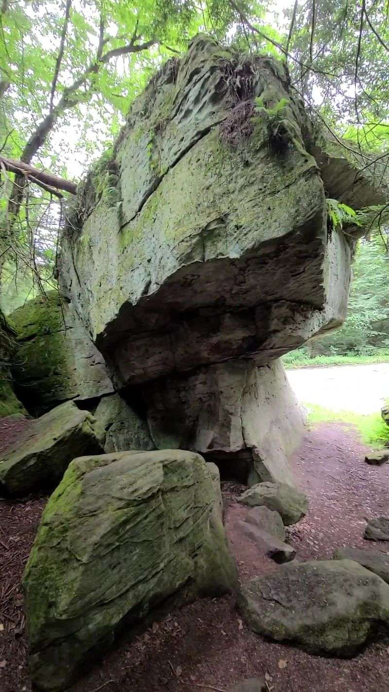 Century-Old Carvings and 10,000 Years of Human History Century-Old Carvings and 10,000 Years of Human History