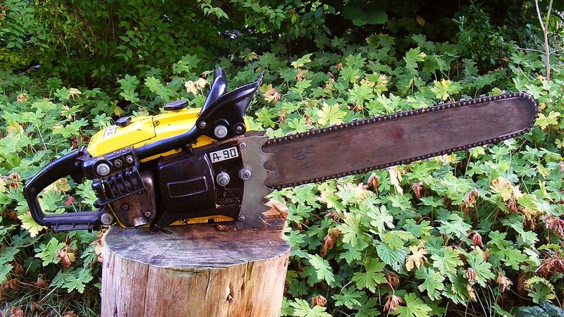 Chainsaws Chainsaws