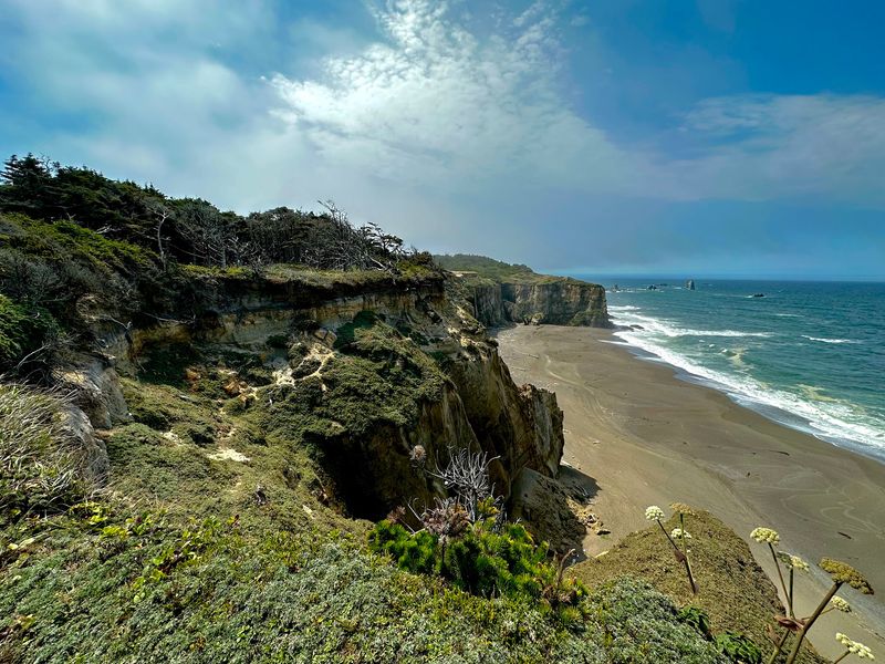 Changing Landscapes: Forest, Meadow, and Coast Changing Landscapes: Forest, Meadow, and Coast
