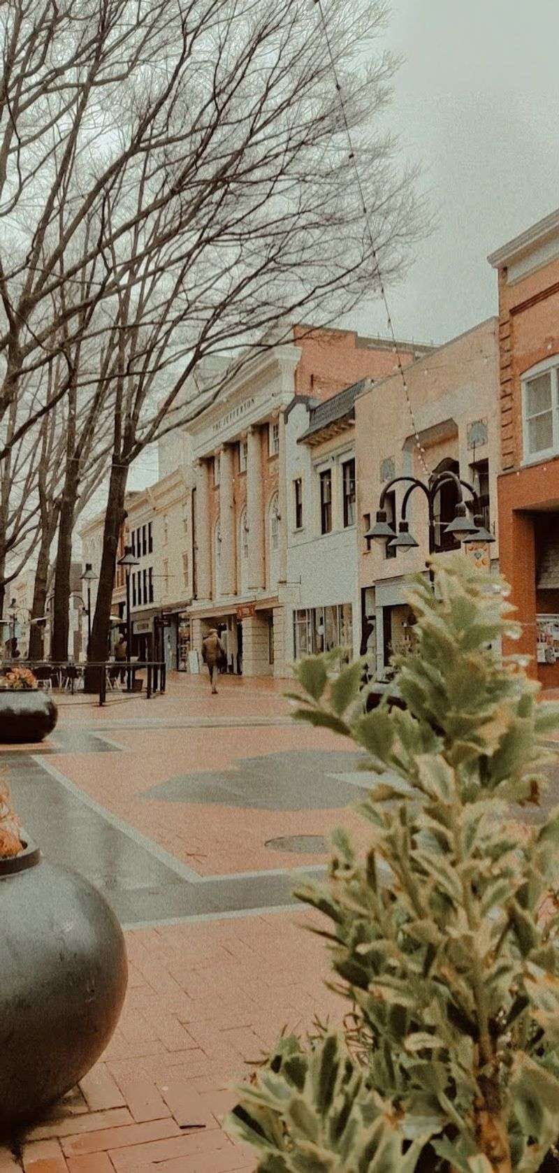 Charlottesville, Virginia Charlottesville, Virginia