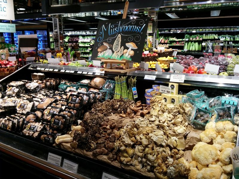 Cheese Counter Highlights and the Mushroom Bar Cheese Counter Highlights and the Mushroom Bar