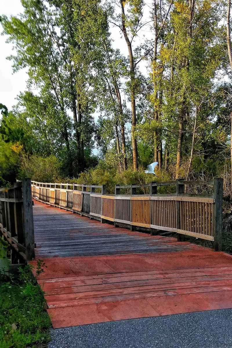 Chippewa Trail, Midland, Michigan Chippewa Trail, Midland, Michigan