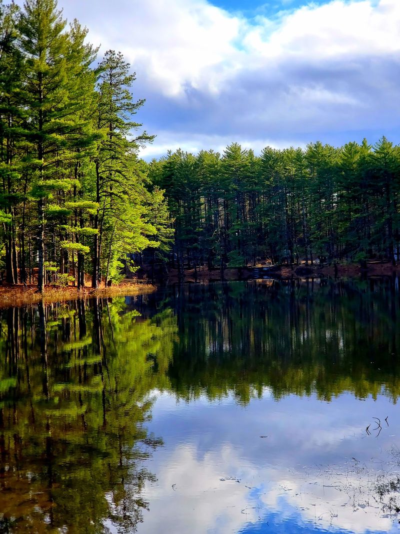 Chocorua Village Chocorua Village