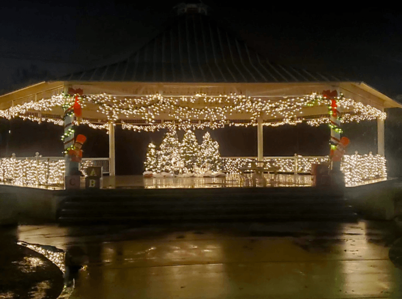 Christmas Lights That Turn the Park Into Magic Christmas Lights That Turn the Park Into Magic
