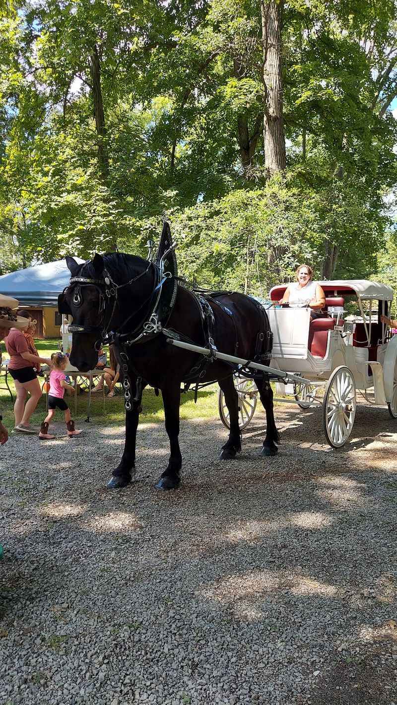 Christmas at the Village and Holiday Carriage Rides