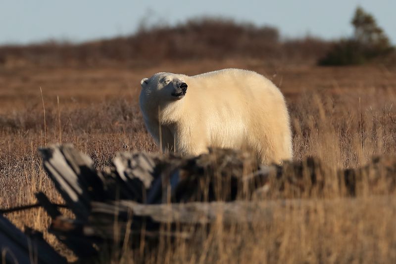 Churchill, Manitoba
